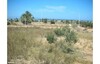 Terrain titré la lagune Djerba Midoun