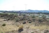 AFH land