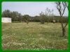 Terrain a batir 4000 m²