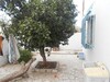 maison plein pieds proche centre ville hammamet