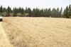 Investissement Agricole+