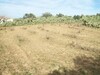 terrain agricole 3000m2 +