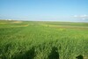 Terrain de 2h 7500m²+++