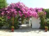 une merveilleuse villa à la compagne de hammamet