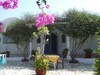 villa les citronniers à la compagne de hammamet