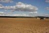 un terrain agricole pas loin de yasmin hammamet