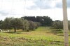 Terrain agricole  de 5000m²-