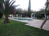 villa hibiscus 1 A zone théatre hammamet