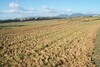Special offer - land-