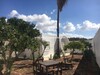 Dar Les Pins aa Hammamet proche centre