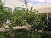 Villa TANIT a wed errih