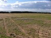 vente TERRAIN EL OLF