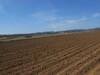 av un terrain proche de yassmin hamamet S