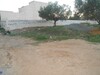 A V terrain au hammamet nord S