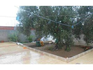 a vendre une maison a hammamet