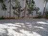 Appartement Nahrawes B Hammamet Nord