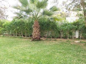 Appartement NAYFER YH