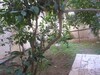 A vendre appartement RDC 200m à hammamet centre as