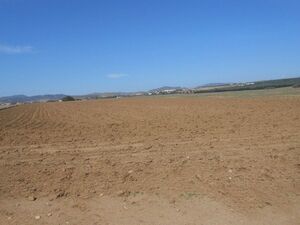 AV terrain 7000 a hammamet