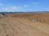 AV terrain 3500m a hammamet