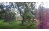 Land for sale on the road to hammamet