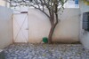 House apricot