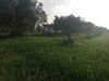 FIELD BESBESIA MRAD JACKSON ESTATE AGENCY
