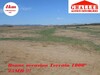 terrain de 1000 m pas loin de Yasmine Hammamet AD