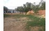 terrain proche de yesmine hammamet OS