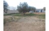 terrain proche 4km de yesmine hammamet OS