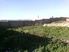 Un Terrain Nu A Vendre Sidi Hammed AM