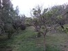 lot de terrain de 1400 m AD