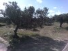 un lot de terrain de 2180 m AD