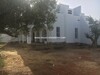 Dar olive trees has to Barraket electric
