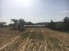 Terrain Nouran av à Hammamet Birbouregba Latrech