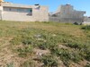 Terrain à kelibia près de l'hopital de kélibia
