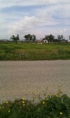 land on the road not far from South hammamet case