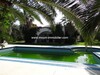 Villa La Palmyre Hammamet South el basbassia