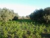 Ferme Adam Hammamet Sud entrée sidi mtir