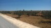 terrain sur la route goudronée à sidi said de 18 hectares