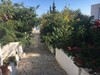 villa neirouz 2 A hammamet nord