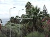 appartement diar chadlia A sidi el mahersi