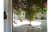 coquette villa a la compagne hamamet