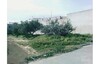 Terrain à hammamet de 291m