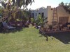 Villa Les Lauriers une belle demeure al à hammamet
