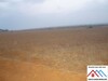 Agricultural land of 19hectares 1078 blue title