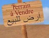 a vendre un beau terrain a hammamet sud proche de la plage