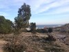 Beau terrain de 1572m à Hammamet Nord