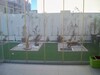 apartment Roses has to gardens of Carthage