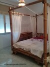 An owner is selling a el haouaria direction el 9ibli cat